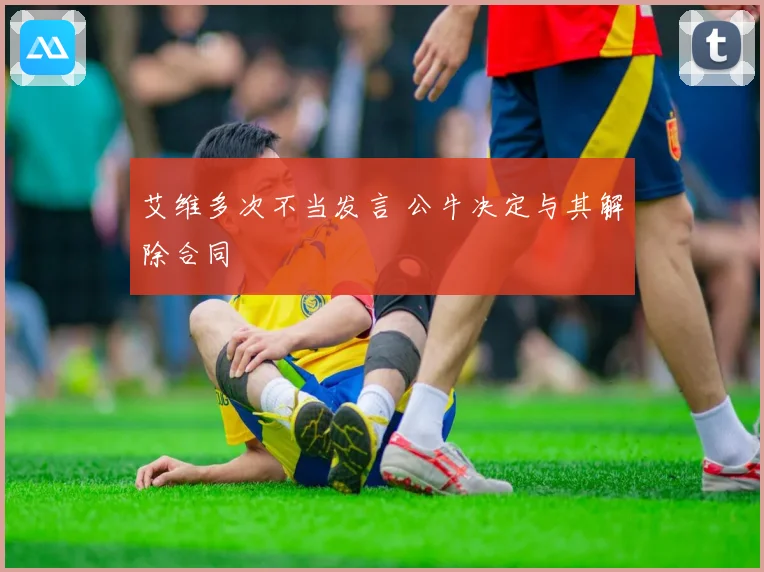 艾维多次不当发言 公牛决定与其解除合同