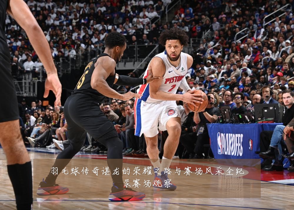 羽毛球传奇谌龙的荣耀之路与赛场风采全纪录赛场观察